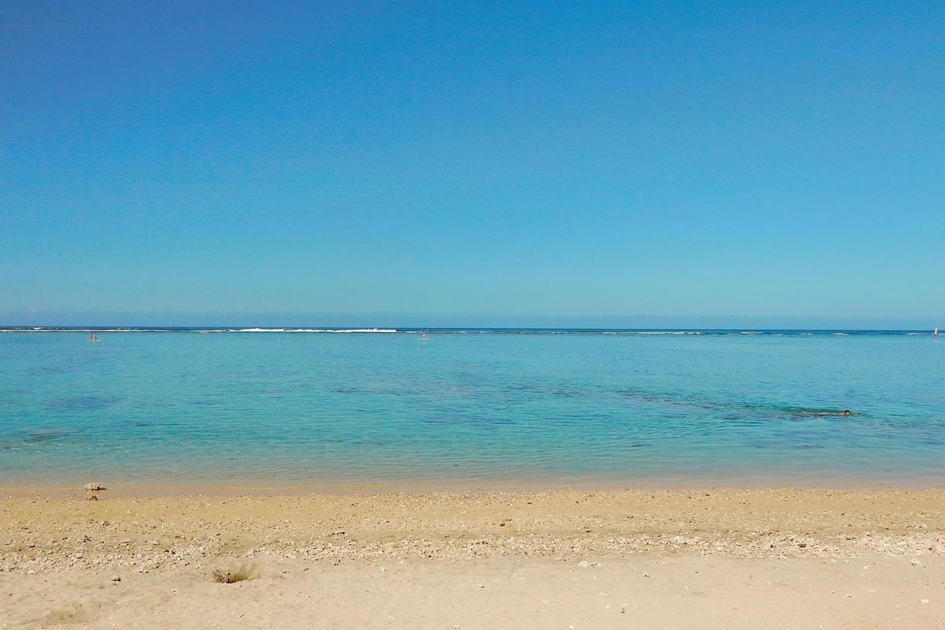 Exceptionnel ! Le Kazuarina, Tres Bel Apt F3 A 50M De La Plage De La Saline Les Bains Eksteriør billede